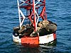 img_0215